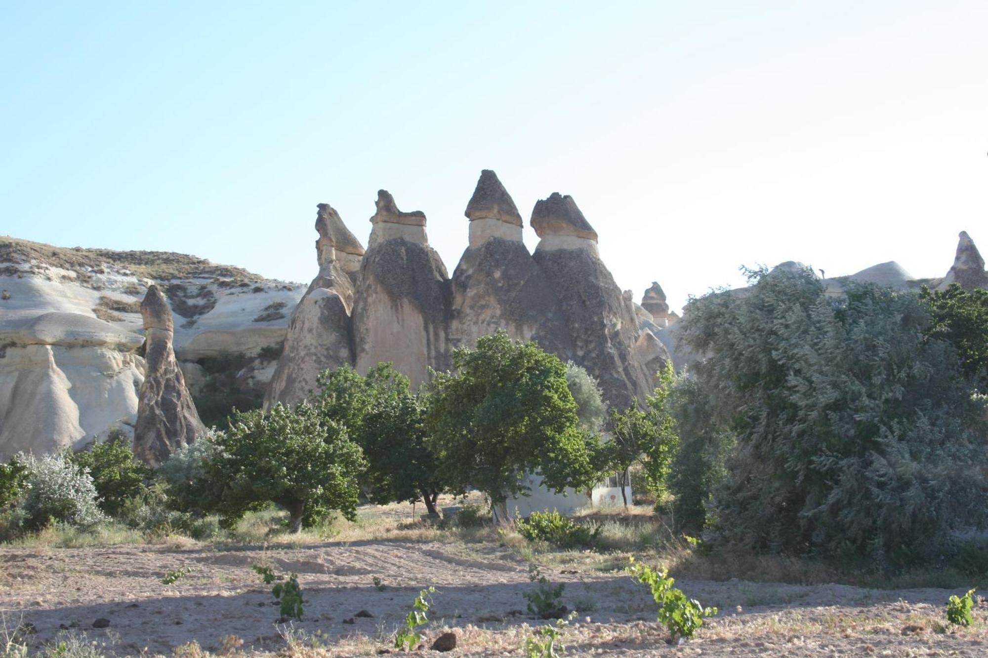 Anatolia Cave Hotel Pension ギョレメ エクステリア 写真